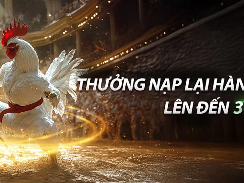 Hoàn trả hàng ngày 77bet