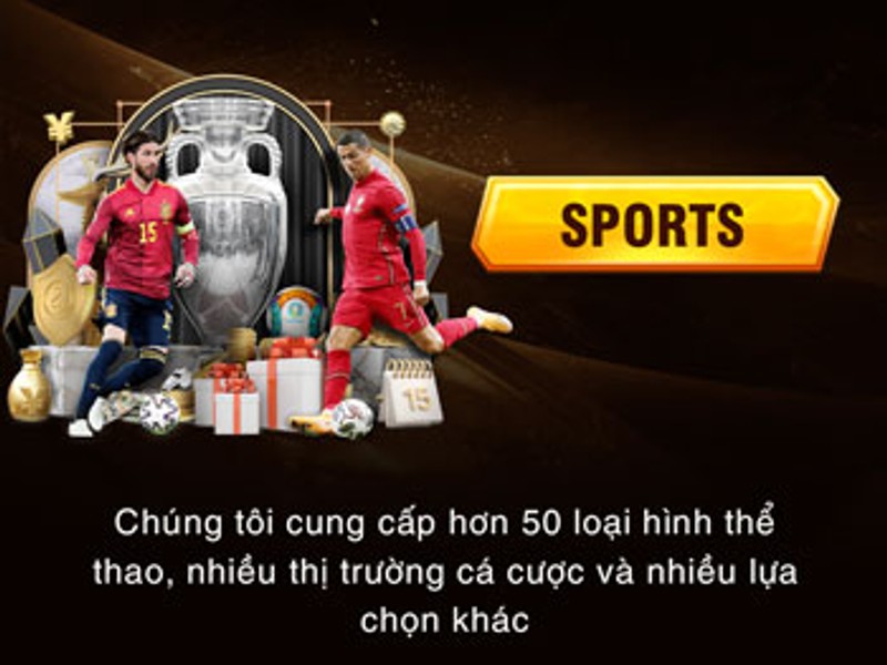 Cá Cược Thể Thao 77bet