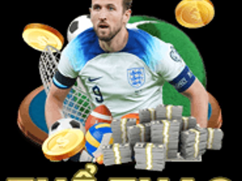 Cá cược thể thao 77bet